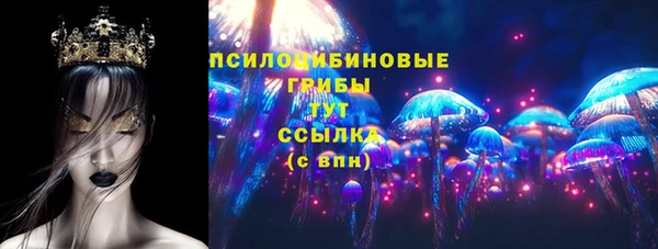 ALPHA PVP Осинники