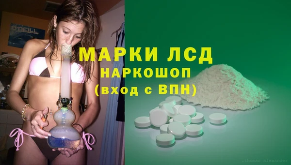 ALPHA PVP Осинники