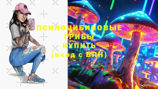 ALPHA PVP Осинники