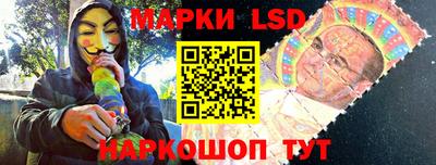 крисы Кингисепп