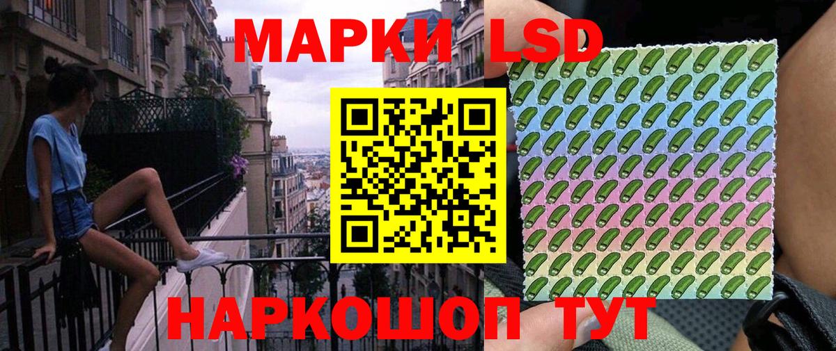Отрадное  Наркотические марки 1500мкг  Вход с VPN  Наркотические марки 1500мкг 