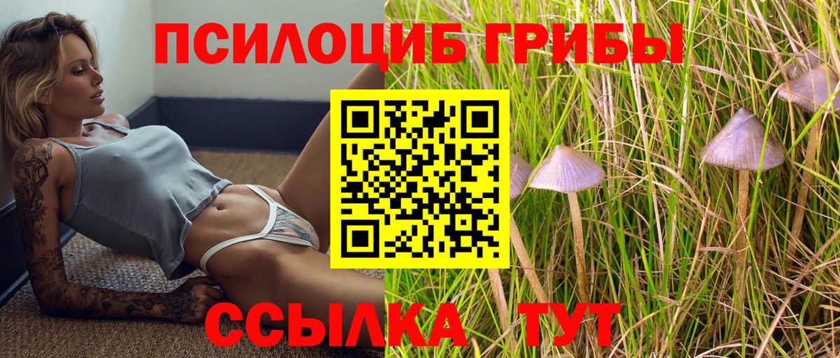 Отрадное  Псилоцибиновые грибы мухоморы  Псилоцибиновые грибы Psilocybine cubensis  Вход с VPN 