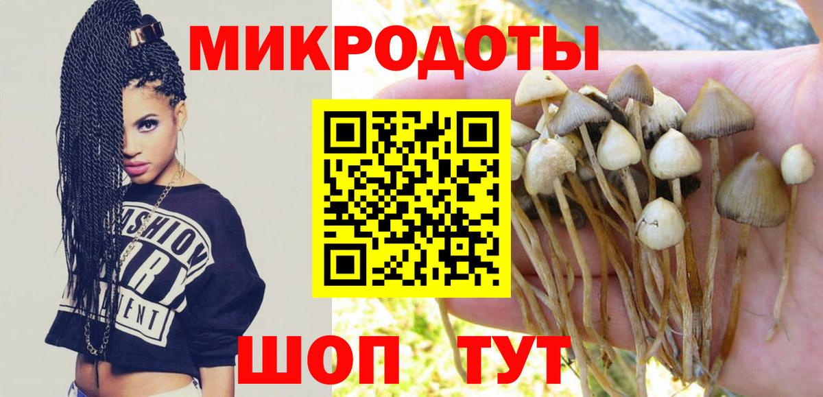 Псилоцибиновые грибы мицелий Отрадное